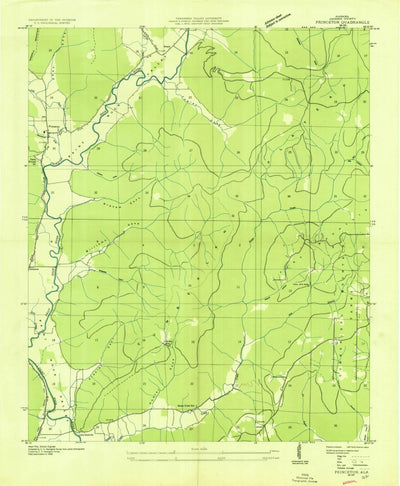 United States Geological Survey Princeton, AL (1936, 24000-Scale) digital map