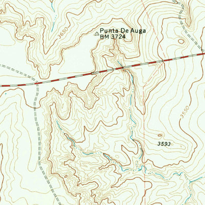 United States Geological Survey Proctor Ranch, TX (1971, 24000-Scale) digital map