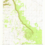 United States Geological Survey Progresso, NM (1981, 24000-Scale) digital map