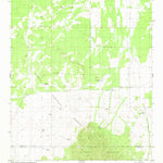 United States Geological Survey Progresso SE, NM (1981, 24000-Scale) digital map