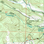United States Geological Survey Protem, MO (2004, 24000-Scale) digital map