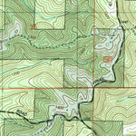 United States Geological Survey Protem NE, MO (2004, 24000-Scale) digital map