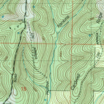 United States Geological Survey Protem SW, MO (2004, 24000-Scale) digital map