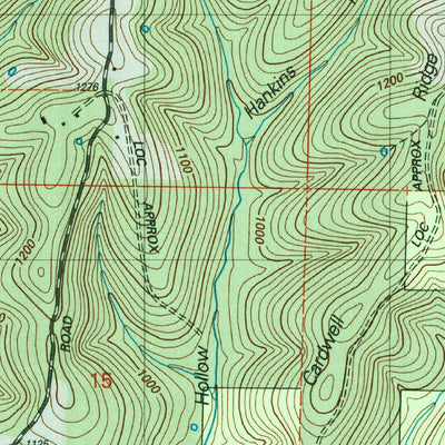 United States Geological Survey Protem SW, MO (2004, 24000-Scale) digital map