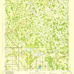 United States Geological Survey Providence, FL (1944, 31680-Scale) digital map
