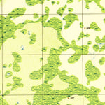United States Geological Survey Providence, FL (1944, 31680-Scale) digital map