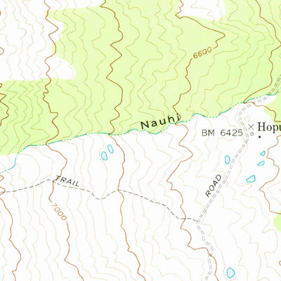 United States Geological Survey Puaakala, HI (1956, 24000-Scale) digital map