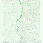 United States Geological Survey Pueblo Nuevo, TX (1979, 24000-Scale) digital map