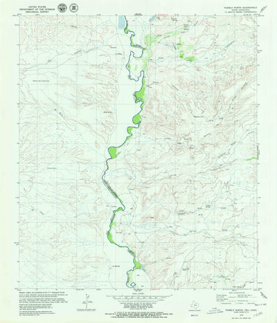 United States Geological Survey Pueblo Nuevo, TX (1979, 24000-Scale) digital map