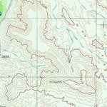 United States Geological Survey Pueblo Nuevo, TX (1979, 24000-Scale) digital map