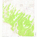 United States Geological Survey Pueblo Pintado, NM (1961, 24000-Scale) digital map