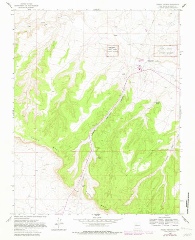 United States Geological Survey Pueblo Pintado, NM (1961, 24000-Scale) digital map