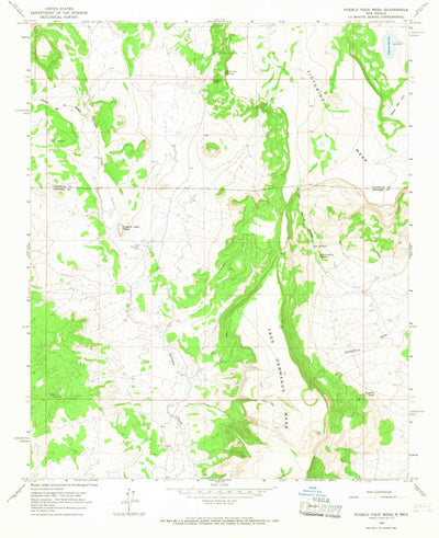 United States Geological Survey Pueblo Viejo Mesa, NM (1964, 24000-Scale) digital map