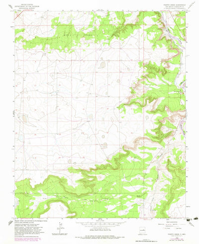 United States Geological Survey Puerto Creek, NM (1963, 24000-Scale) digital map