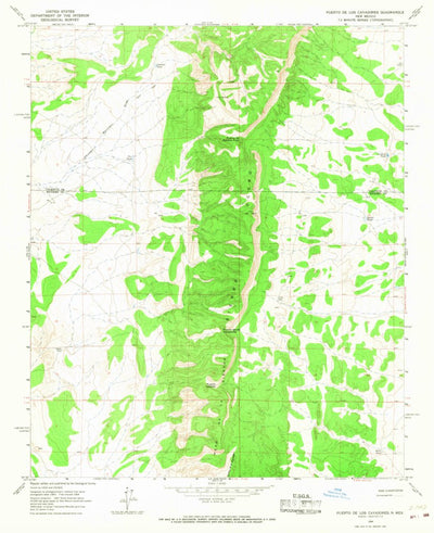 United States Geological Survey Puerto De Los Cavadores, NM (1964, 24000-Scale) digital map
