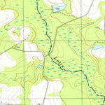 United States Geological Survey Pulaski, GA (1978, 24000-Scale) digital map