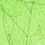 United States Geological Survey Pulliam Ranch, TX (1960, 24000-Scale) digital map