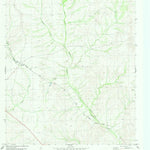 United States Geological Survey Pumpville, TX (1980, 24000-Scale) digital map