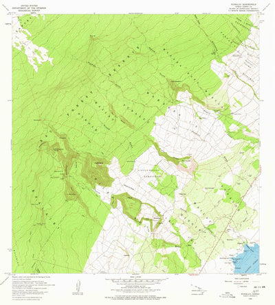 United States Geological Survey Punaluu, HI (1966, 24000-Scale) digital map