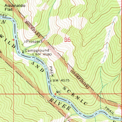 United States Geological Survey Pungo Mountain, ID (1973, 24000-Scale) digital map