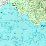 United States Geological Survey Punta Guayanes, PR (1960, 20000-Scale) digital map