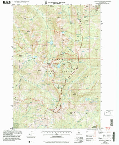 United States Geological Survey Purgatory Saddle, ID (2004, 24000-Scale) digital map