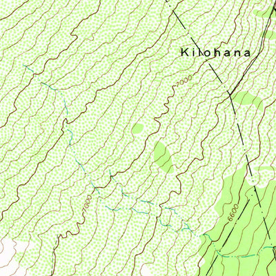 United States Geological Survey Puukinikini, HI (1981, 24000-Scale) digital map