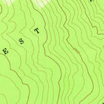 United States Geological Survey Puumakaala, HI (1963, 24000-Scale) digital map