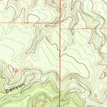 United States Geological Survey Queen, NM (1979, 24000-Scale) digital map
