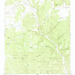 United States Geological Survey Queens Head, NM (1965, 24000-Scale) digital map