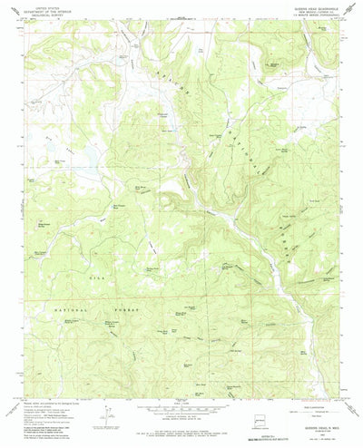United States Geological Survey Queens Head, NM (1965, 24000-Scale) digital map