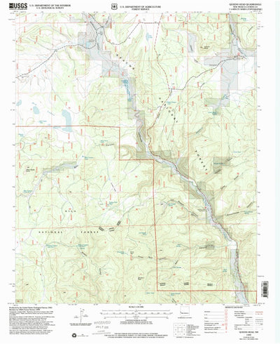 United States Geological Survey Queens Head, NM (1999, 24000-Scale) digital map