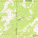 United States Geological Survey Quigg Peak, MT (1975, 24000-Scale) digital map