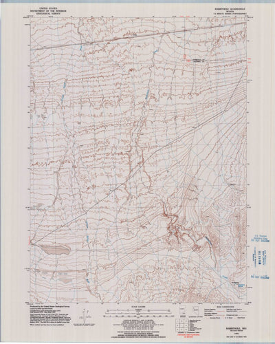 United States Geological Survey Rabbithole, NV (1981, 24000-Scale) digital map