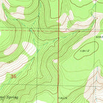 United States Geological Survey Rael Spring, NM (1981, 24000-Scale) digital map