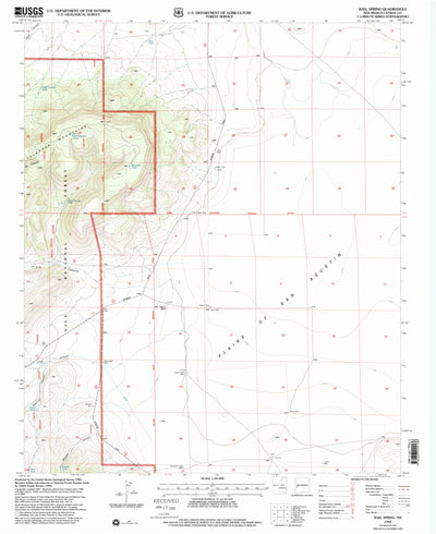 United States Geological Survey Rael Spring, NM (1999, 24000-Scale) digital map