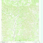 United States Geological Survey Rafter Hollow, TX (1964, 24000-Scale) digital map