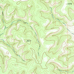 United States Geological Survey Rafter Hollow, TX (1964, 24000-Scale) digital map