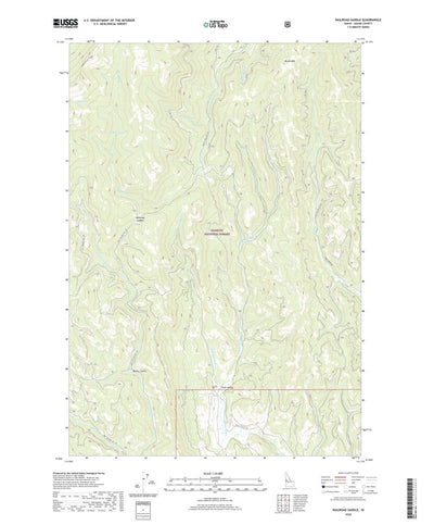 United States Geological Survey Railroad Saddle, ID (2020, 24000-Scale) digital map
