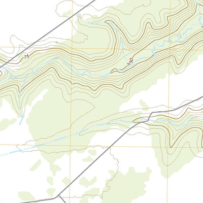 United States Geological Survey Raisin, TX (2022, 24000-Scale) digital map