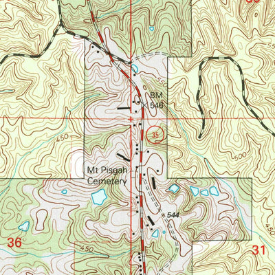 United States Geological Survey Raleigh, MS (2000, 24000-Scale) digital map