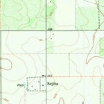 United States Geological Survey Ramirez, TX (1969, 24000-Scale) digital map