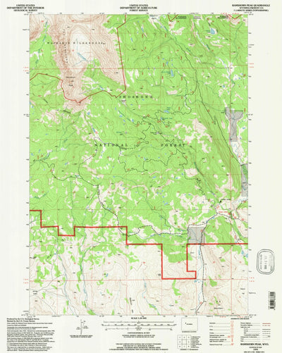 United States Geological Survey Ramshorn Peak, WY (1991, 24000-Scale) digital map