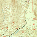 United States Geological Survey Randle, WA (1994, 24000-Scale) digital map