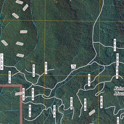 United States Geological Survey Randle, WA (2011, 24000-Scale) digital map