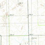 United States Geological Survey Rankin, IL (1984, 24000-Scale) digital map