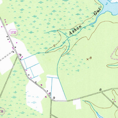 United States Geological Survey Ransomville, NC (1951, 24000-Scale) digital map