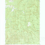 United States Geological Survey Rasler Creek, OR (1990, 24000-Scale) digital map