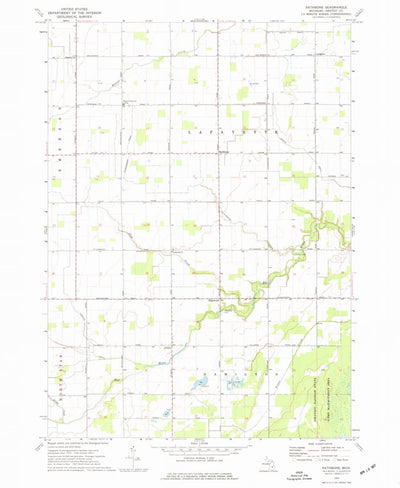 United States Geological Survey Rathbone, MI (1973, 24000-Scale) digital map