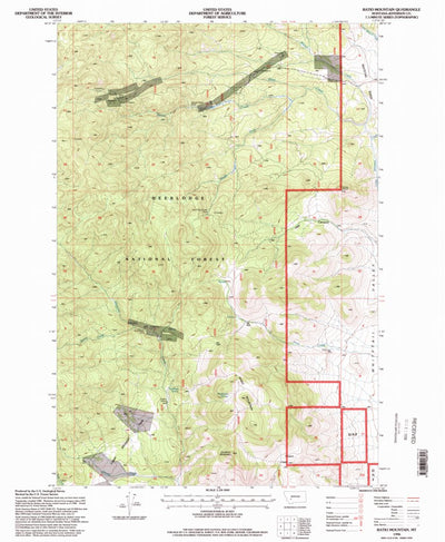 United States Geological Survey Ratio Mountain, MT (1996, 24000-Scale) digital map